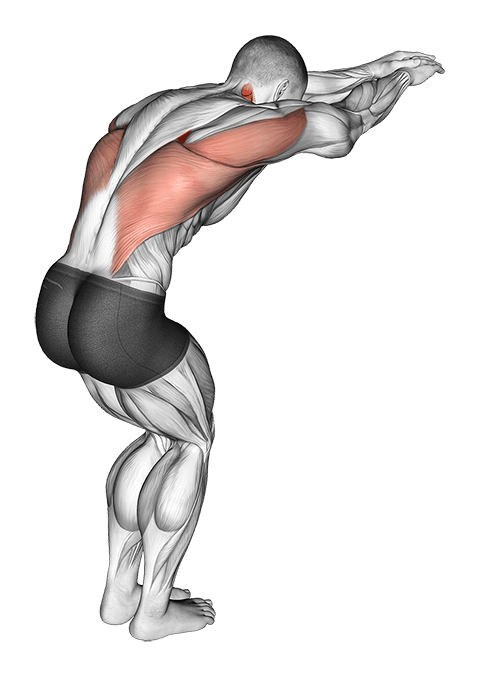 Reach forward upper back stretch exercise demonstration for Back, Body weight