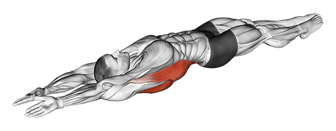 Lying whole body stretch exercise demonstration for Back, Body weight