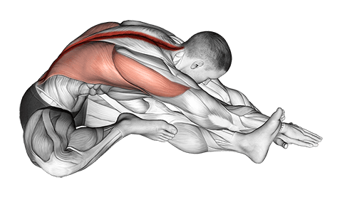 Sitting Side Reach Stretch exercise demonstration for Back, Body weight