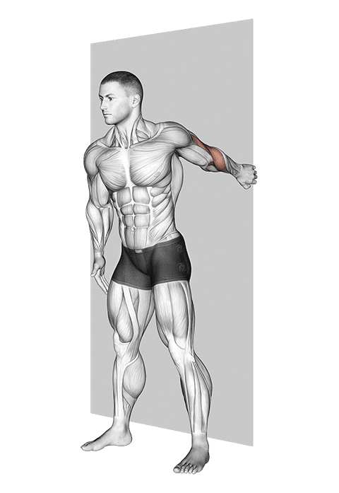 Forearm Pronator Stretch exercise demonstration for Forearms, Body weight