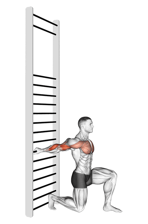 Arms Stretch On A Support exercise demonstration for Upper Arms, Body weight