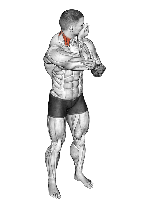 Assisted Rotating Neck Stretch exercise demonstration for Neck, Body weight