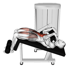 Lever Decline Sit-up exercise demonstration for Waist, Leverage machine