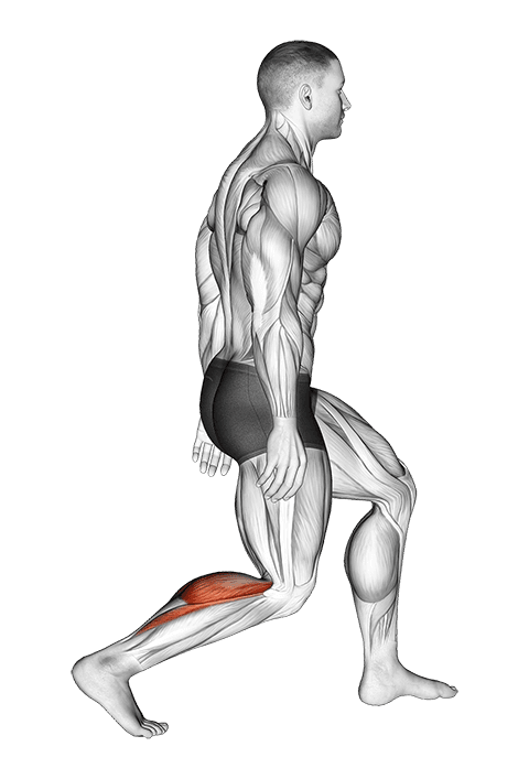Standing Achilles Stretch exercise demonstration for Calves, Body weight
