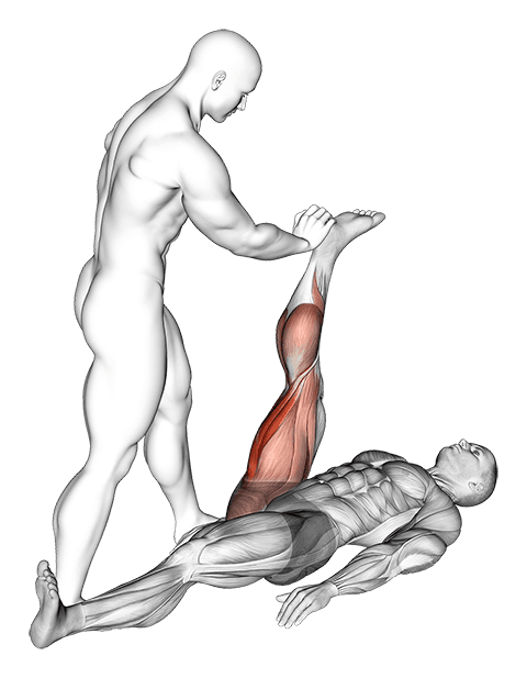 Assisted Lying Hamstring Stretch exercise demonstration