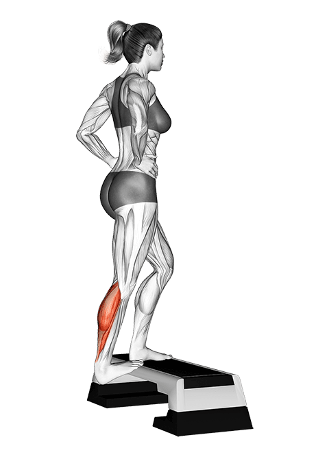 Single Heel Drop Calf Stretch exercise demonstration for Calves, Body weight