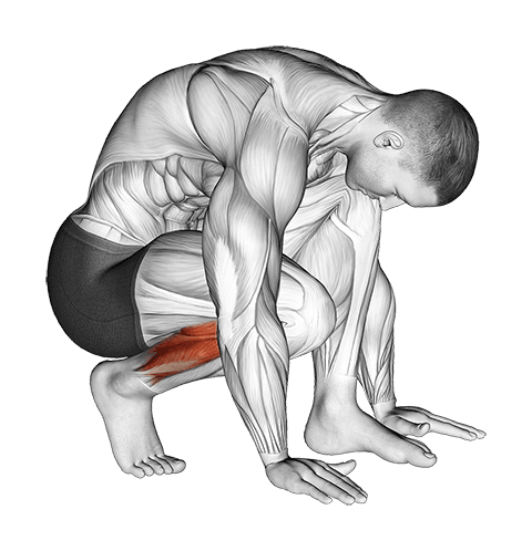 Squatting Toe Stretch exercise demonstration for Calves, Body weight