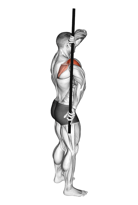 Arm Down Rotator Stretch exercise demonstration for Shoulders, Body weight