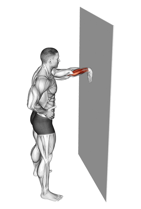 Wall Flexors Stretch exercise demonstration for Forearms, Body weight