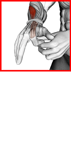 Flexion Finger Stretch exercise demonstration for Forearms, Body weight