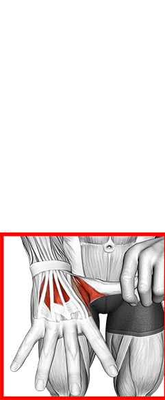 Separation Finger Stretch exercise demonstration for Forearms, Body weight