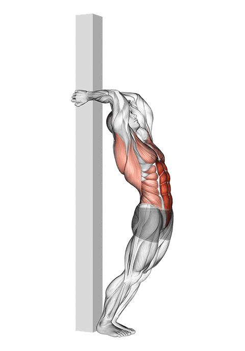 Hip Extension Supported From Back exercise demonstration for Back, and Waist, Body weight