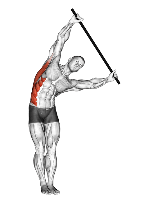 Standing Side Stretch With Stick exercise demonstration for Back, and Waist, Body weight