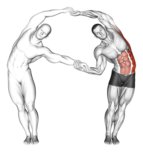 Assisted Side Bent exercise demonstration