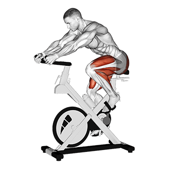 Stationary Bike Run exercise demonstration