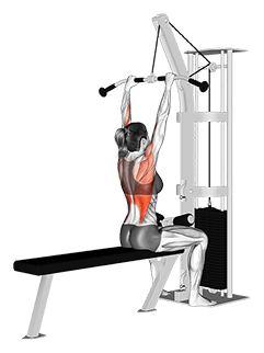 Cable Pulldown exercise demonstration