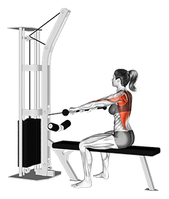 Cable Seated Row exercise demonstration