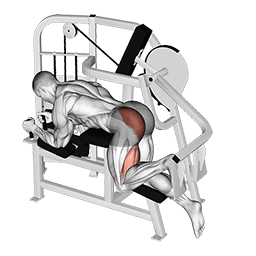 Lever Hip Extension exercise demonstration for Hips, Leverage machine