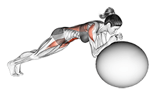 Stability Ball Rollout exercise demonstration