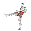 Front Groin Kick. Kickboxing exercise demonstration for Plyometrics, Body weight