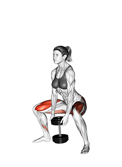 Dumbbell Sumo Squat exercise demonstration