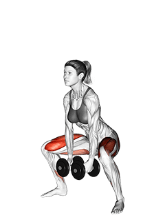 Dumbbells Sumo Squat exercise demonstration