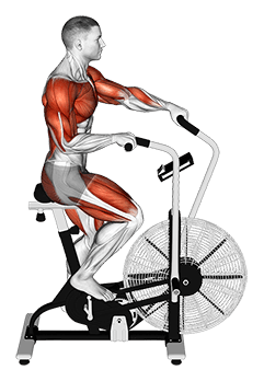 Cycle Cross Trainer exercise demonstration