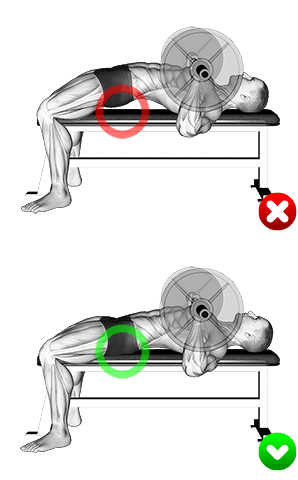 Chest Bench Press - Butt exercise demonstration for Chest, Barbell