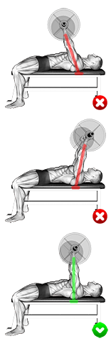 Chest Bench Press - Arms exercise demonstration for Chest, Barbell