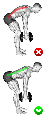 Bent-over Row - Back exercise demonstration