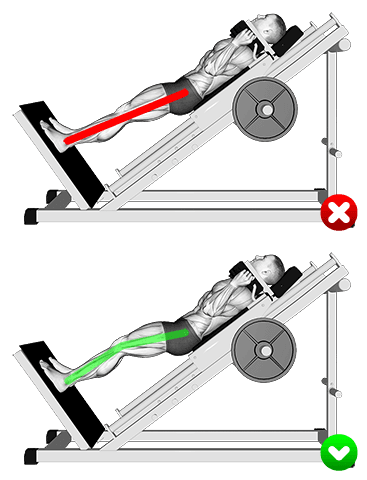 Sled Hack Squat - Legs exercise demonstration for Thighs, Sled machine