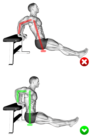 Bench Dip - Back Arms exercise demonstration for Upper Arms, Body weight