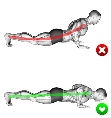 Push-up - End position exercise demonstration