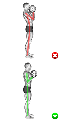 Biceps Curl - Arms Body exercise demonstration for Biceps, and Upper Arms, Dumbbell