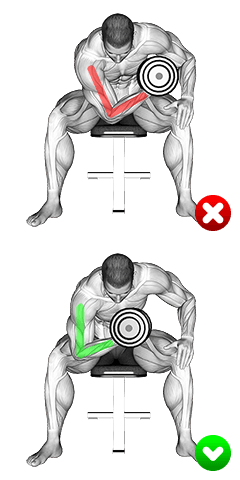 Concentration Curl - Arms exercise demonstration for Biceps, and Upper Arms, Dumbbell