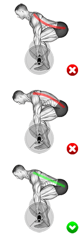Deadlift - Back exercise demonstration for Thighs, Barbell