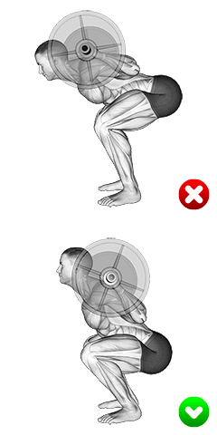 Barbell Squat - Hips exercise demonstration for Thighs, Barbell
