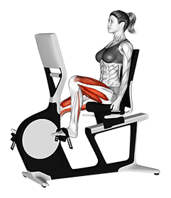 Bicycle Recline Walk exercise demonstration