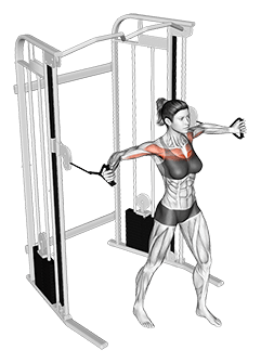 Cable Middle Fly exercise demonstration