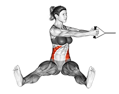 Band seated twist exercise demonstration