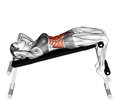 Decline Crunch exercise demonstration for Waist, Body weight