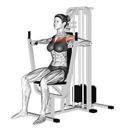 Lever Chest Press exercise demonstration