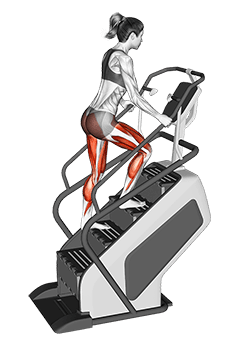 Walking on Stepmill exercise demonstration for Thighs, Leverage machine