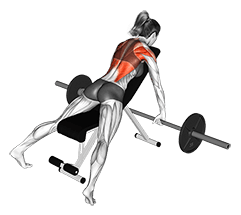 Barbell Incline Row exercise demonstration for Back, Barbell