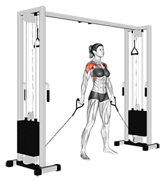 Cable Front Raise exercise demonstration