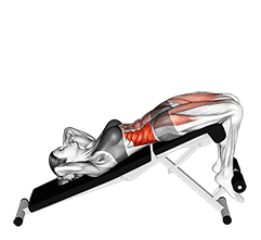 Decline Twisting Sit up exercise demonstration for Waist, Body weight