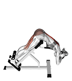 Hyperextension exercise demonstration for Hips, Body weight