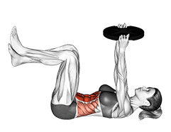 Weighted Crunch exercise demonstration