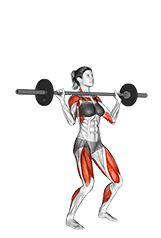 Barbell Power Jerk exercise demonstration for Thighs, Barbell