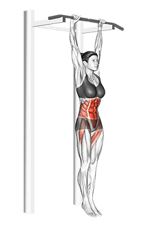 Hanging Leg Hip Raise exercise demonstration for Hips, and Waist, Body weight